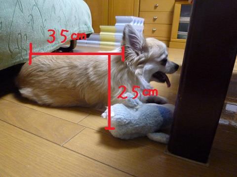 b0138430_21113866.jpg