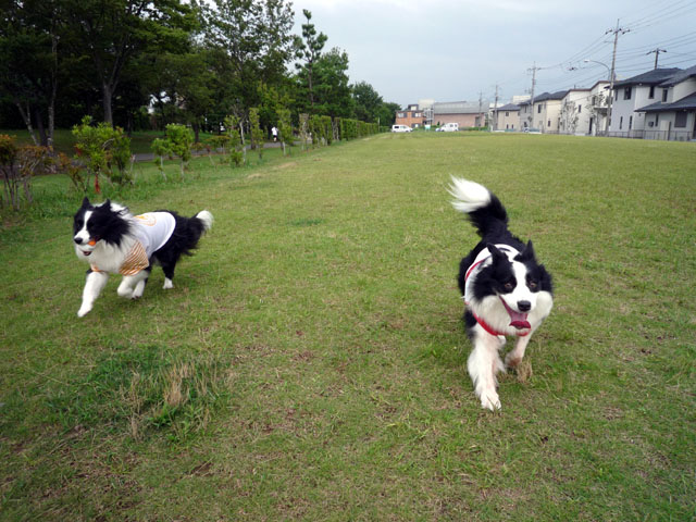 d0059230_9401555.jpg