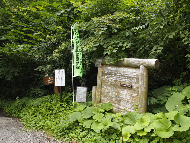c0000134_17404719.jpg