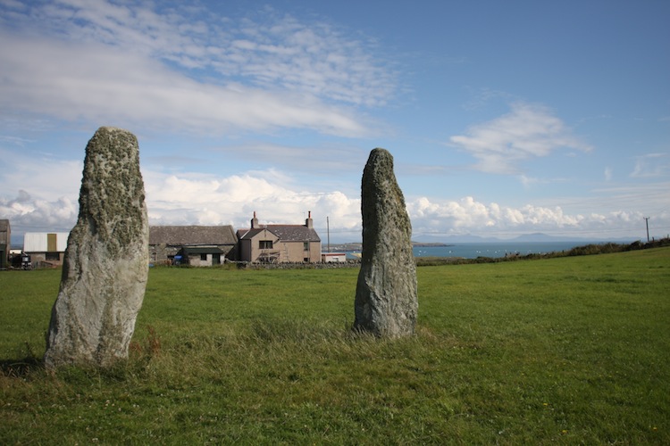 a0169844_8195348.jpg
