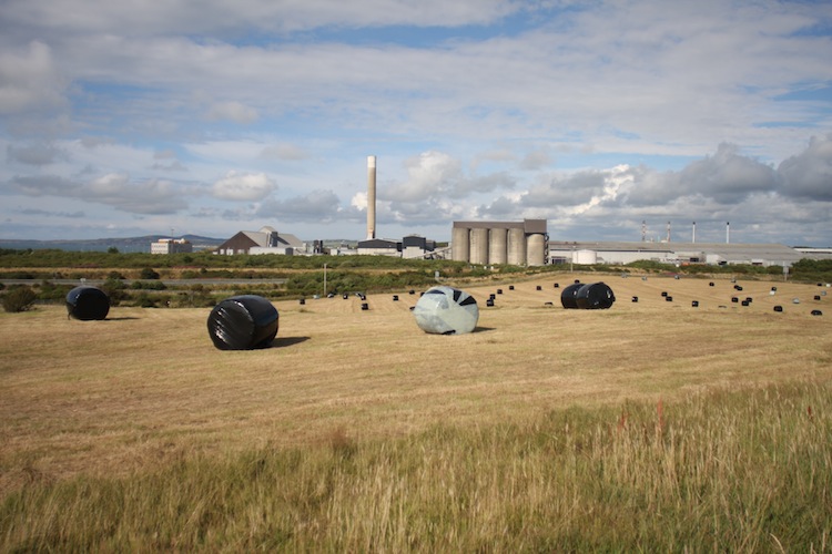 a0169844_8233985.jpg