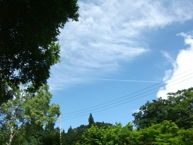 b0185245_1155782.jpg