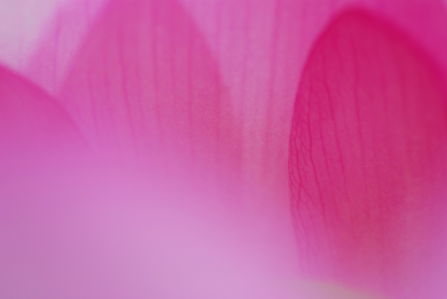 e0009147_11182538.jpg