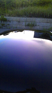 f0000652_1195748.jpg