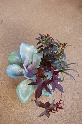 e0025655_61142.jpg