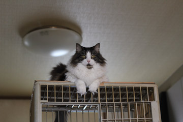 a0001756_022862.jpg