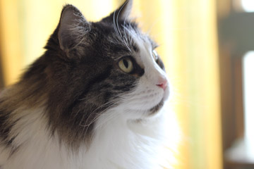 a0001756_23415887.jpg