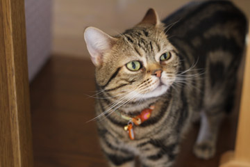 a0001756_23471958.jpg