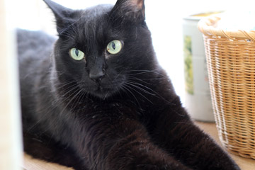 a0001756_2350458.jpg