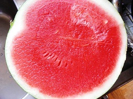 e0044657_9134139.jpg