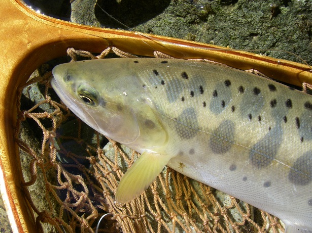 f0212059_07013.jpg