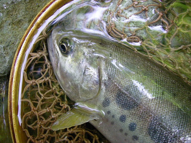 f0212059_082610.jpg