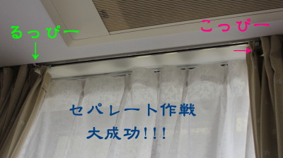 b0158061_20585179.jpg