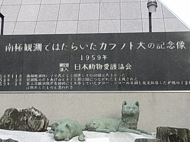 e0208965_6151817.jpg