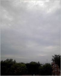 a0050669_12264125.jpg