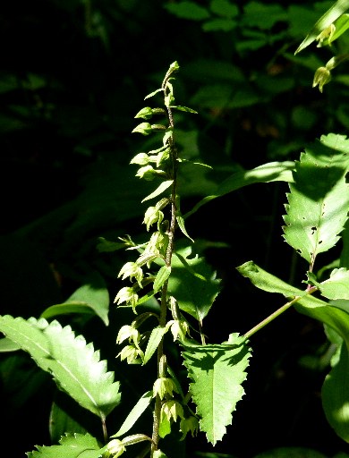 d0084473_20304217.jpg