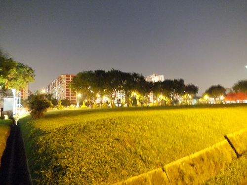 a0002177_121473.jpg