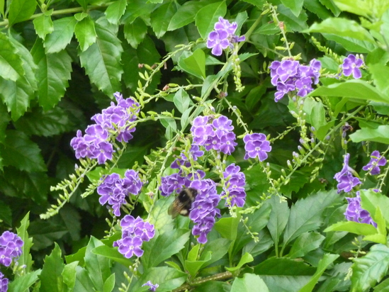 e0207477_913840.jpg