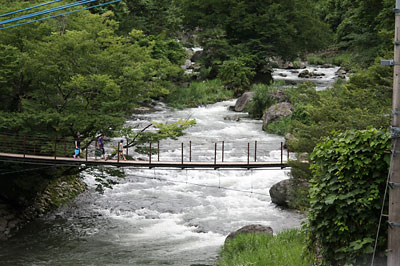 c0152779_1705069.jpg
