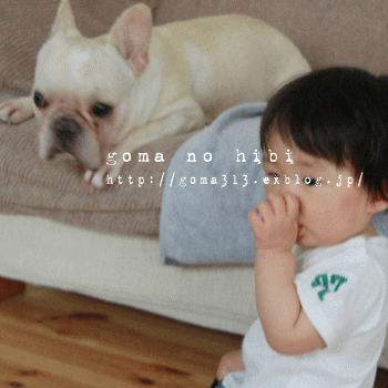 b0180085_2275796.gif