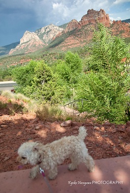 e0148185_1018045.jpg