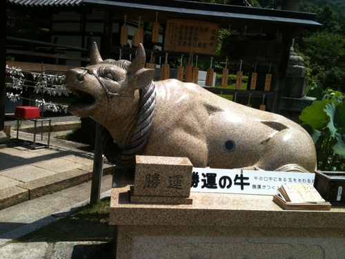 c0042491_2054488.jpg