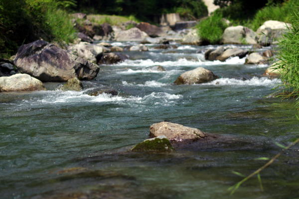 f0141392_2211917.jpg