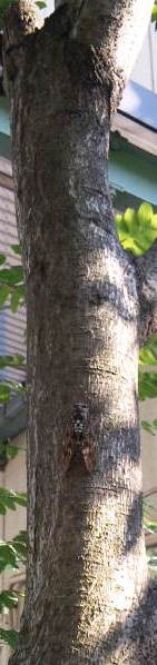 f0138093_17453287.jpg