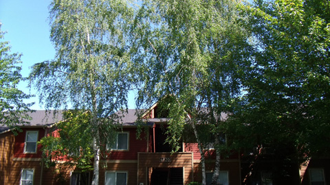 d0000995_16591335.jpg