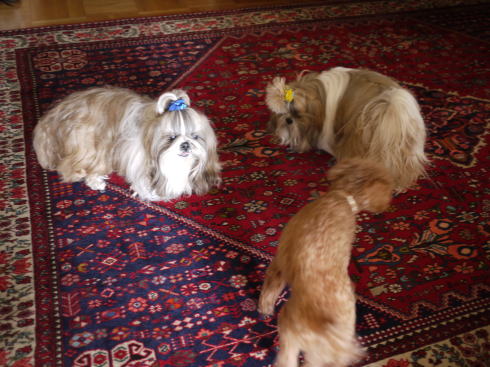 c0090198_5351489.jpg