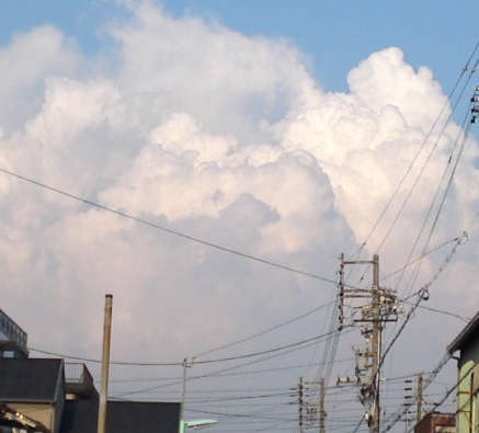 a0031000_13323329.jpg