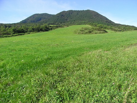 f0187402_21335166.jpg