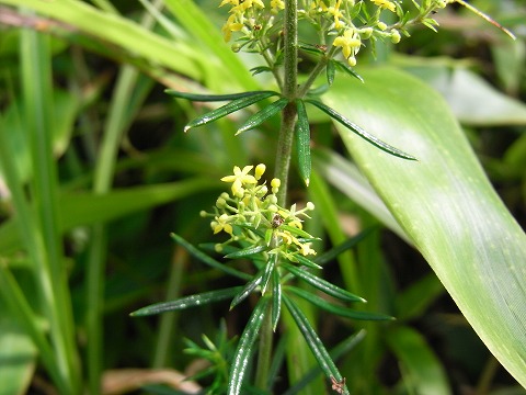 f0187402_21341894.jpg