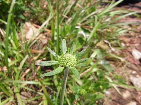 f0187402_21342695.jpg