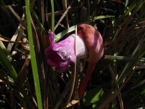f0187402_21343588.jpg