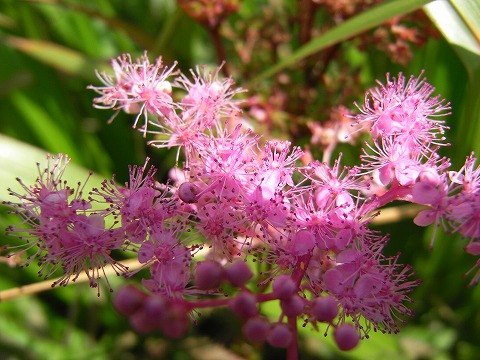 f0187402_21351031.jpg