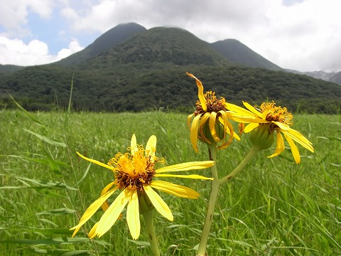 f0187402_2135110.jpg