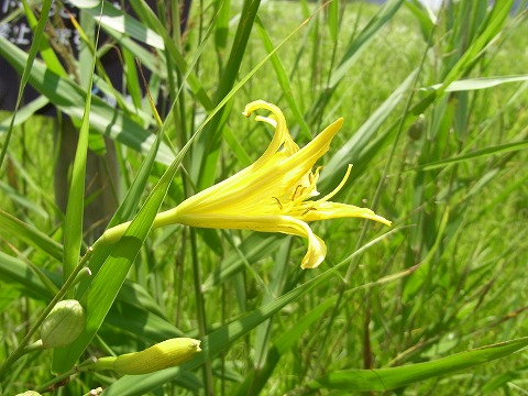 f0187402_21351814.jpg