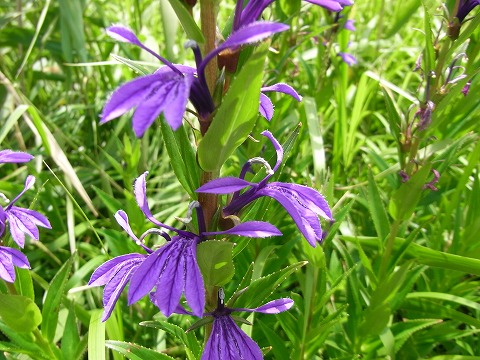 f0187402_21352781.jpg