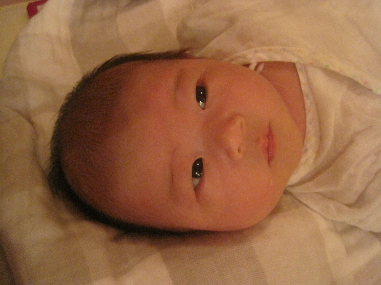 f0202703_12565226.jpg