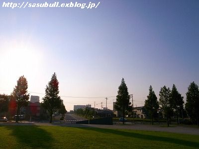 e0145805_014797.jpg