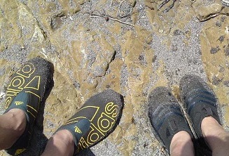 e0178307_1144939.jpg