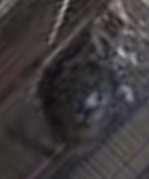 e0103408_1771578.jpg
