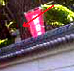 e0103408_1783264.jpg