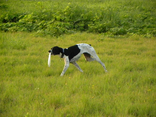 e0204314_7385075.jpg