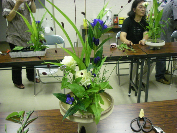 a0218118_851617.jpg