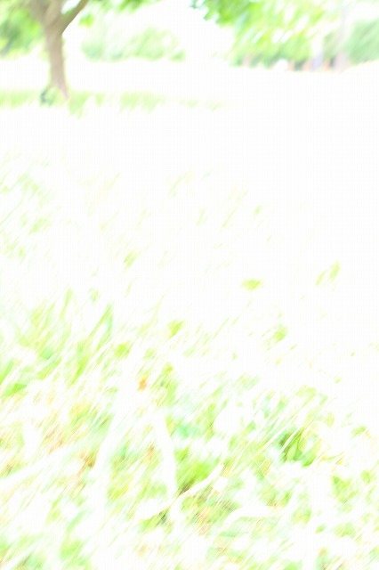 d0147321_13433167.jpg