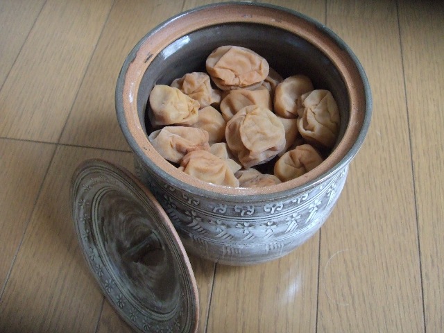 e0006321_17515459.jpg