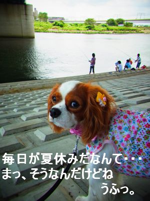 f0214121_1104353.jpg