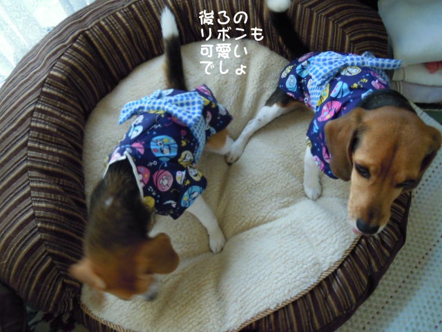 c0166622_991657.jpg